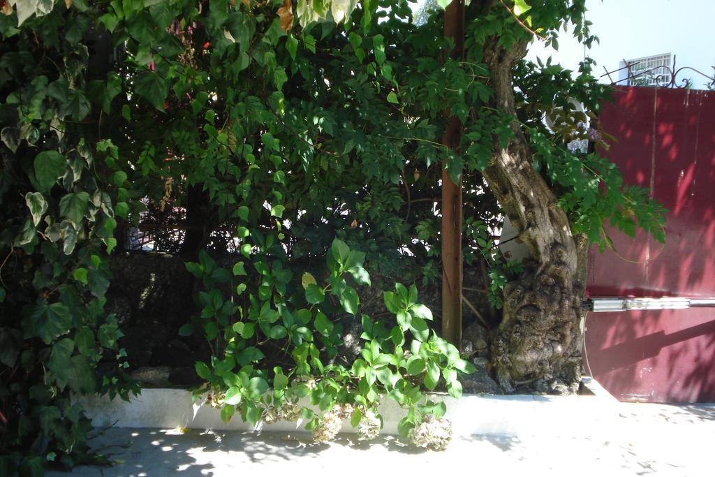 فيلا Casa De Marlaes لوسادا المظهر الخارجي الصورة